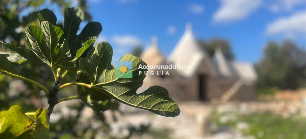 Foto annuncio